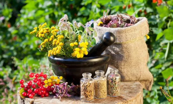 Helminth herbs