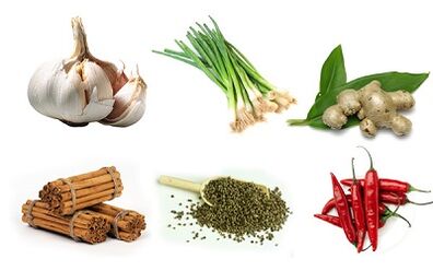 Folk remedies to treat parasites in the gut