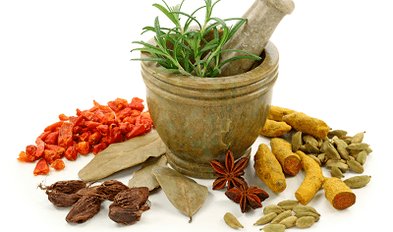 Methods of treating parasites in the body